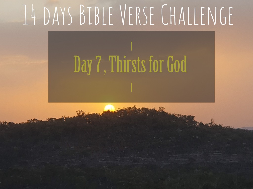 14 days Bible Verse Challenge / Day 7   Thirsts for God